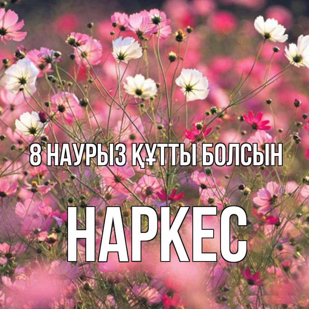 Күн сайын ашық хат с именем, НАРКЕС 8 наурыз құтты болсын красиво 1 Онлайн тегін жүктеп алу тілектері бар керемет карта 
