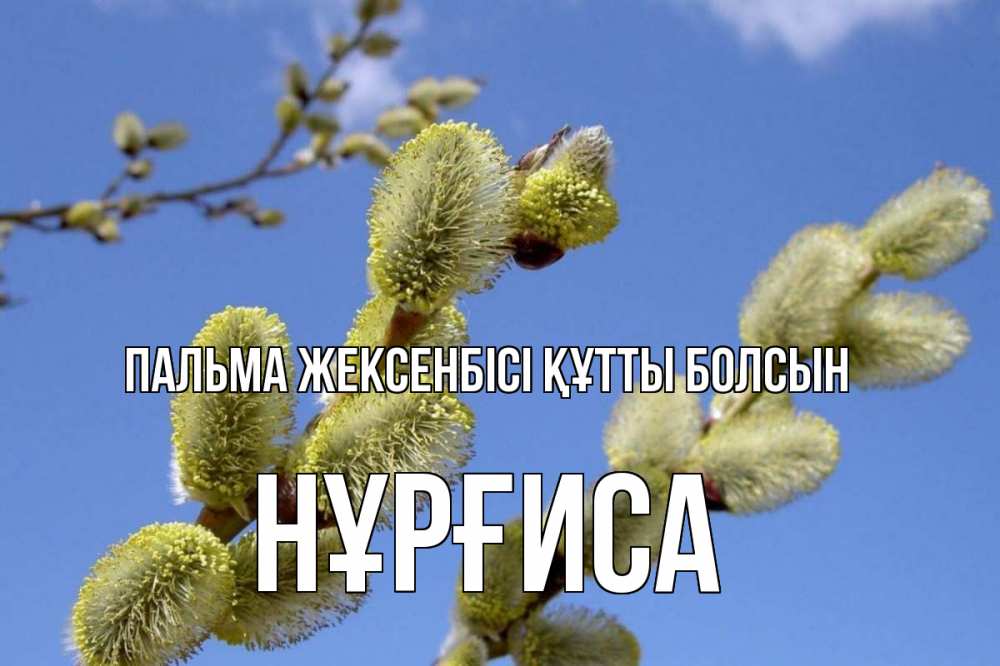 Күн сайын ашық хат с именем, НҰРҒИСА Пальма жексенбісі құтты болсын верба Онлайн тегін жүктеп алу тілектері бар керемет карта 