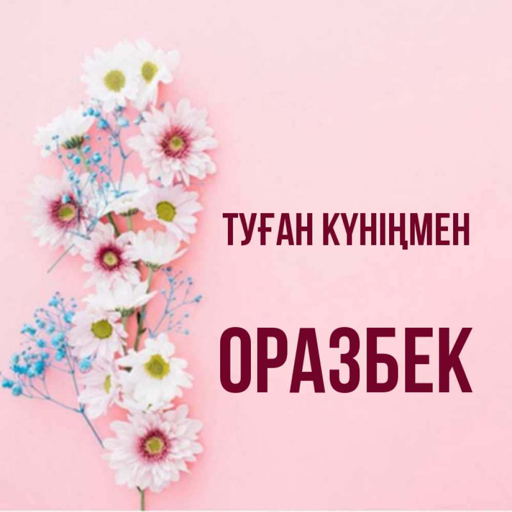 Күн сайын ашық хат с именем, ОРАЗБЕК Туған күніңмен Родная моя с днем рождения тебя картинка с цветами белыми и голубыми Онлайн тегін жүктеп алу тілектері бар керемет карта 