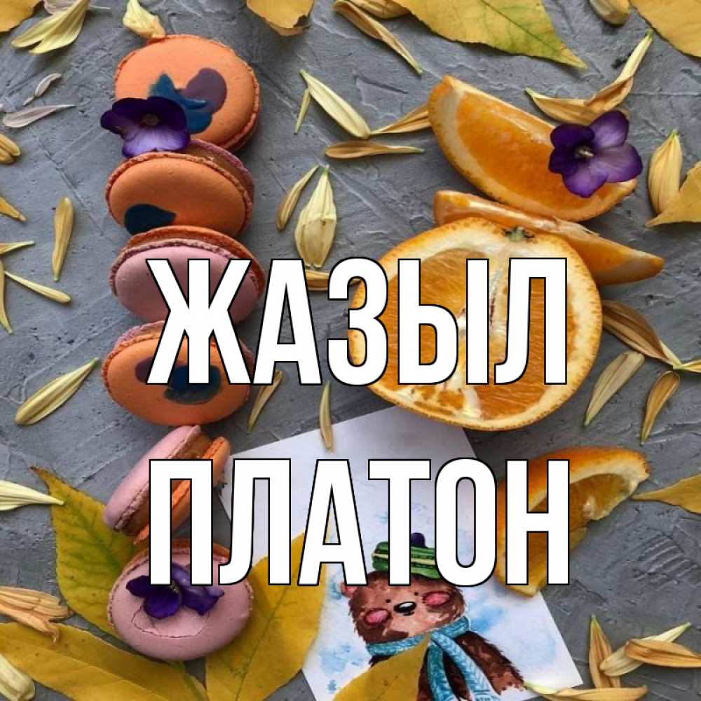 Күн сайын ашық хат с именем, Платон Жазыл не болейте Онлайн тегін жүктеп алу тілектері бар керемет карта 
