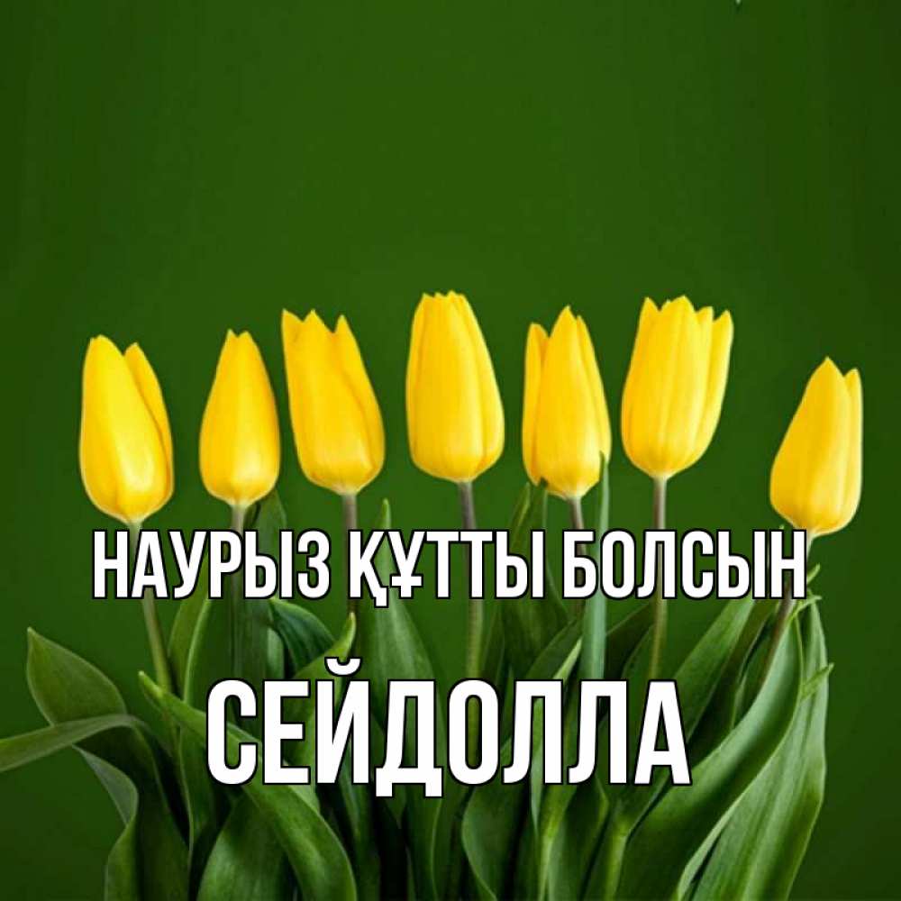 Күн сайын ашық хат с именем, СЕЙДОЛЛА Наурыз құтты болсын желтого цвета 3 Онлайн тегін жүктеп алу тілектері бар керемет карта 