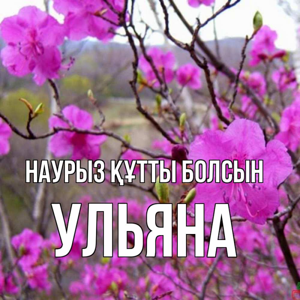Күн сайын ашық хат с именем, Ульяна Наурыз құтты болсын наурыз мейрамы кутты болсын Онлайн тегін жүктеп алу тілектері бар керемет карта 