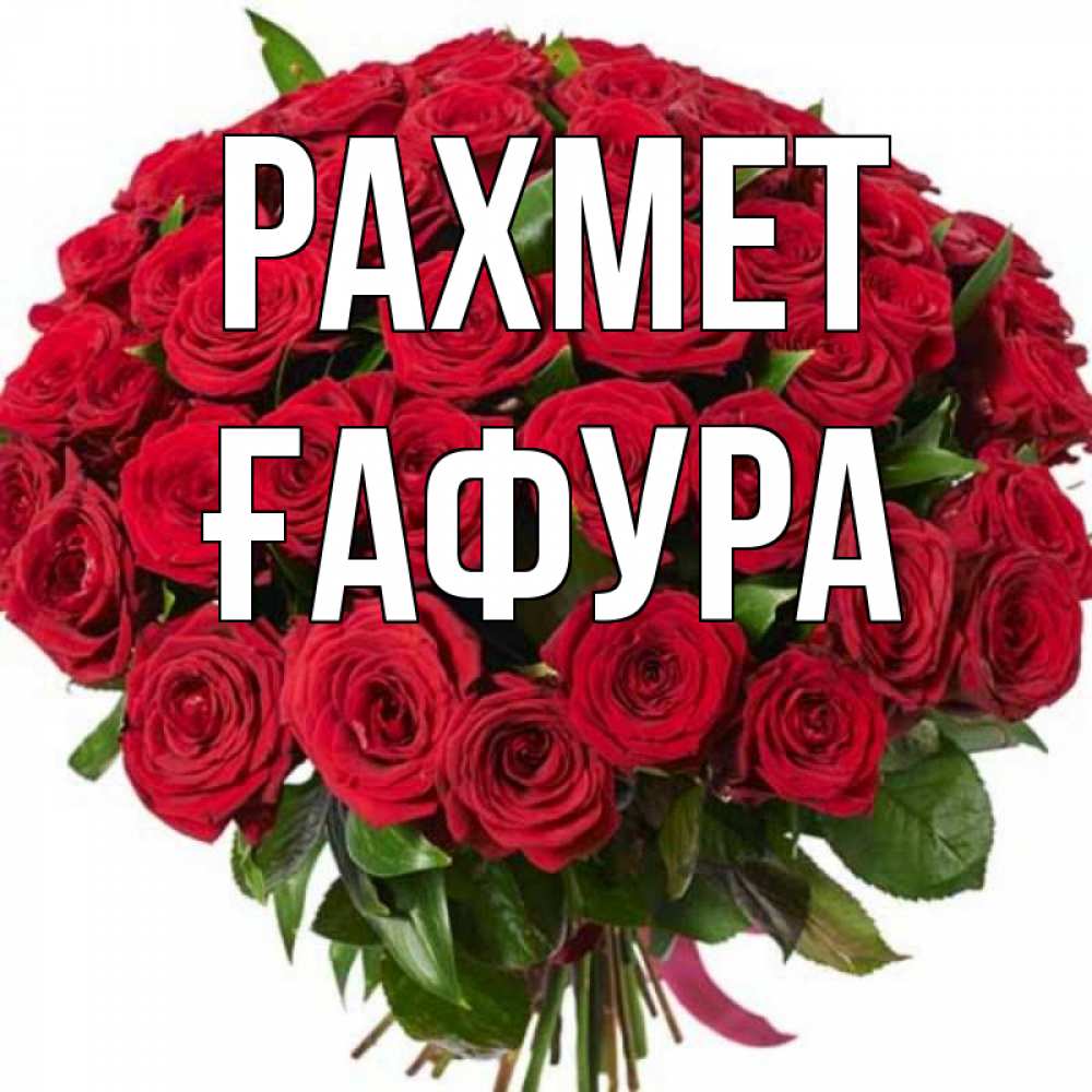 Күн сайын ашық хат с именем, ҒАФУРА рахмет букет красных роз Онлайн тегін жүктеп алу тілектері бар керемет карта 