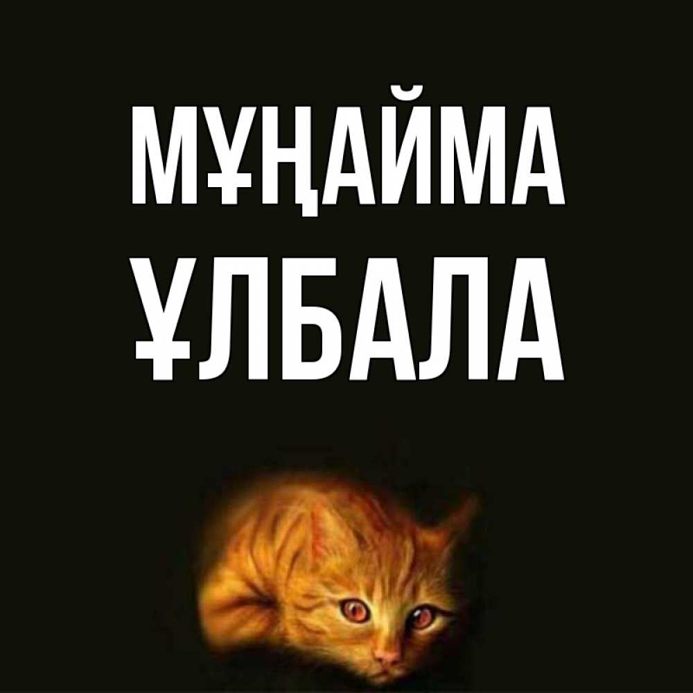 Күн сайын ашық хат с именем, ҰЛБАЛА Мұңайма лежащий кот в темноте Онлайн тегін жүктеп алу тілектері бар керемет карта 