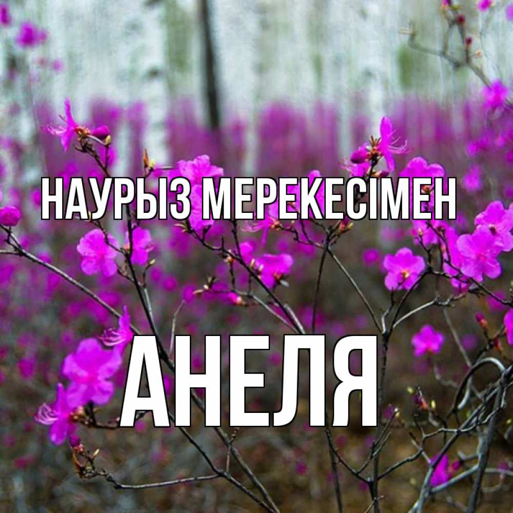 Күн сайын ашық хат с именем, Анеля Наурыз мерекесімен дикие цветы Онлайн тегін жүктеп алу тілектері бар керемет карта 