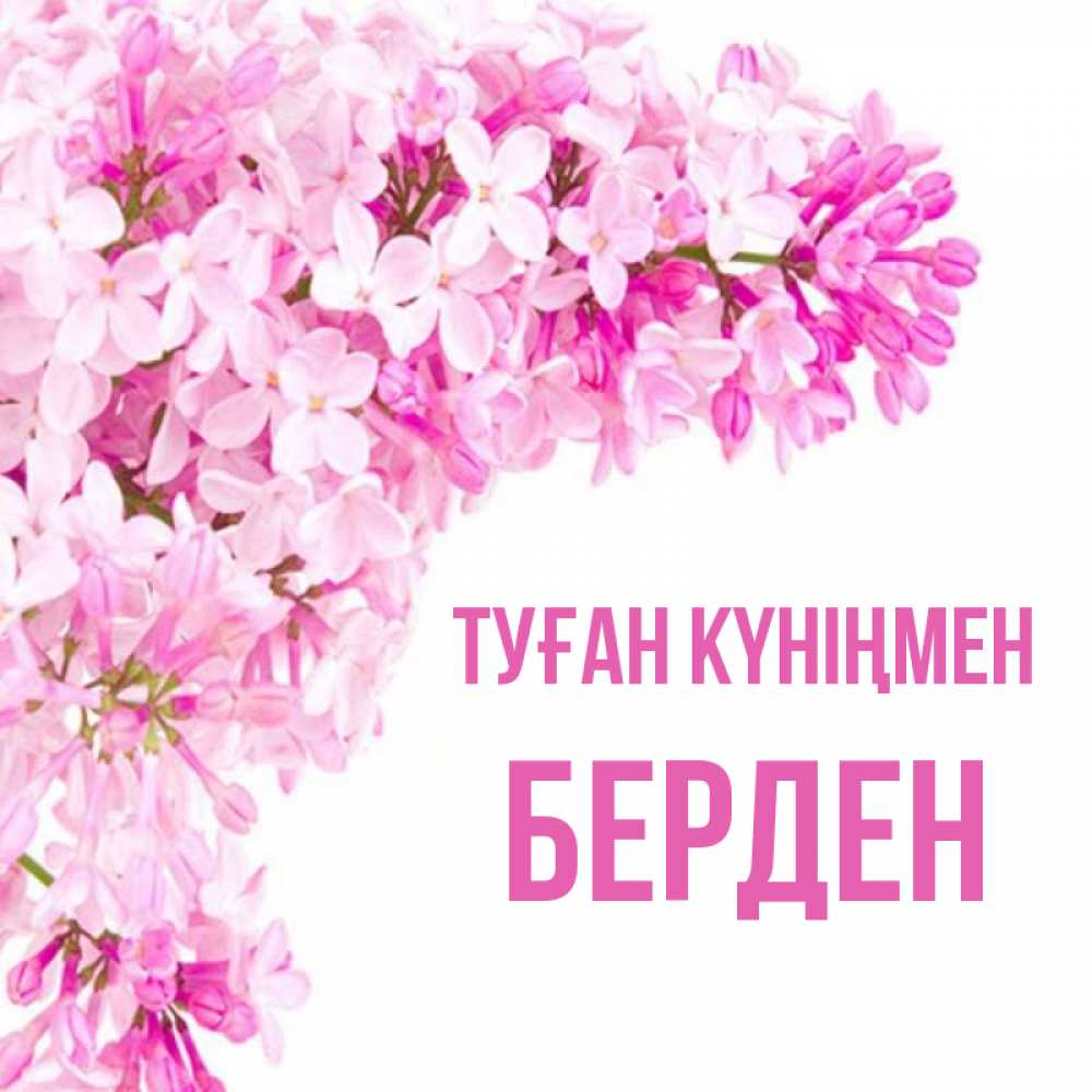 Күн сайын ашық хат с именем, Берден Туған күніңмен Сирень на белом фоне Онлайн тегін жүктеп алу тілектері бар керемет карта 
