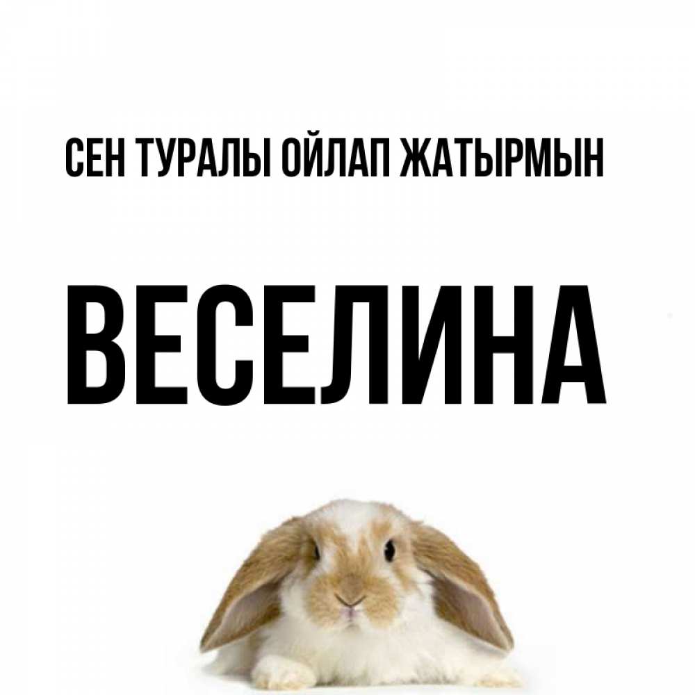 Күн сайын ашық хат с именем, Веселина Сен туралы ойлап жатырмын подписать своими руками онлайн Онлайн тегін жүктеп алу тілектері бар керемет карта 