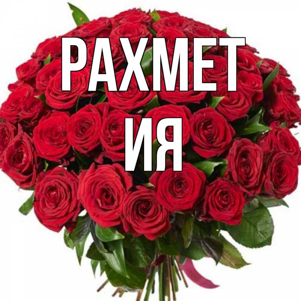 Күн сайын ашық хат с именем, Ия рахмет букет красных роз Онлайн тегін жүктеп алу тілектері бар керемет карта 