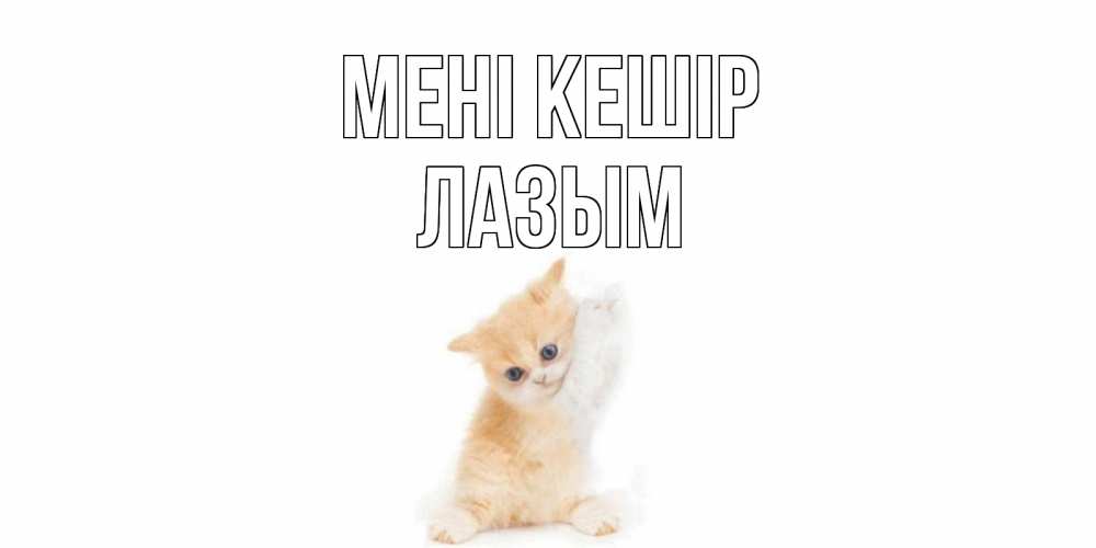 Күн сайын ашық хат с именем, ЛАЗЫМ Мені кешір кот Онлайн тегін жүктеп алу тілектері бар керемет карта 