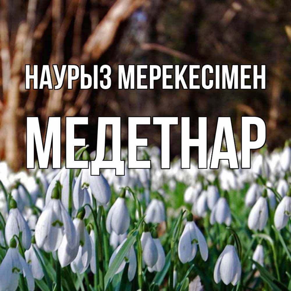 Күн сайын ашық хат с именем, МЕДЕТНАР Наурыз мерекесімен с подснежниками 1 Онлайн тегін жүктеп алу тілектері бар керемет карта 