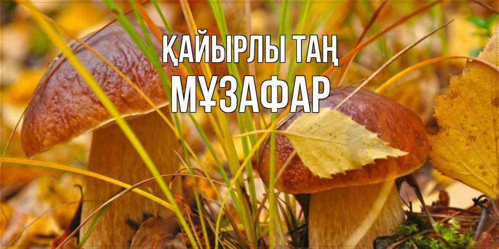 Күн сайын ашық хат с именем, МҰЗАФАР Қайырлы таң осенние грибы Онлайн тегін жүктеп алу тілектері бар керемет карта 