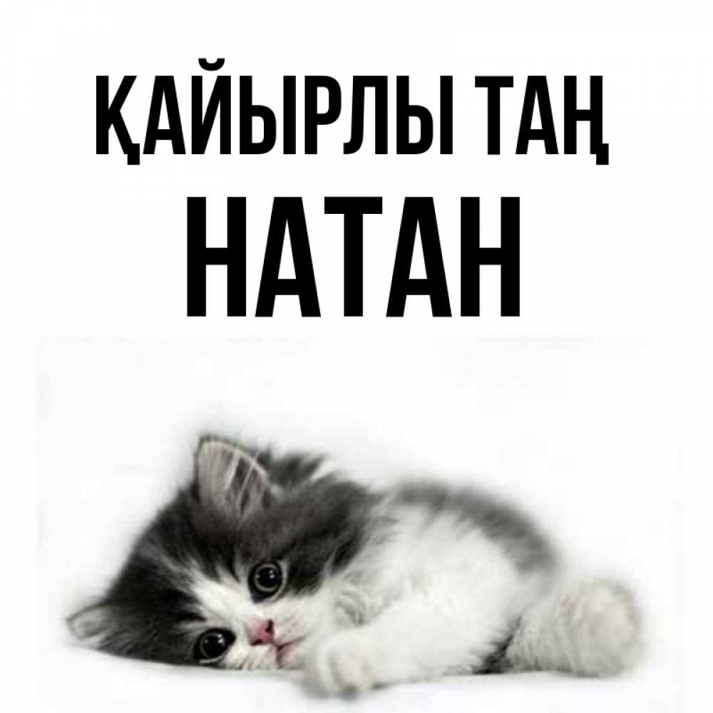 Күн сайын ашық хат с именем, Натан Қайырлы таң кот лапки Онлайн тегін жүктеп алу тілектері бар керемет карта 