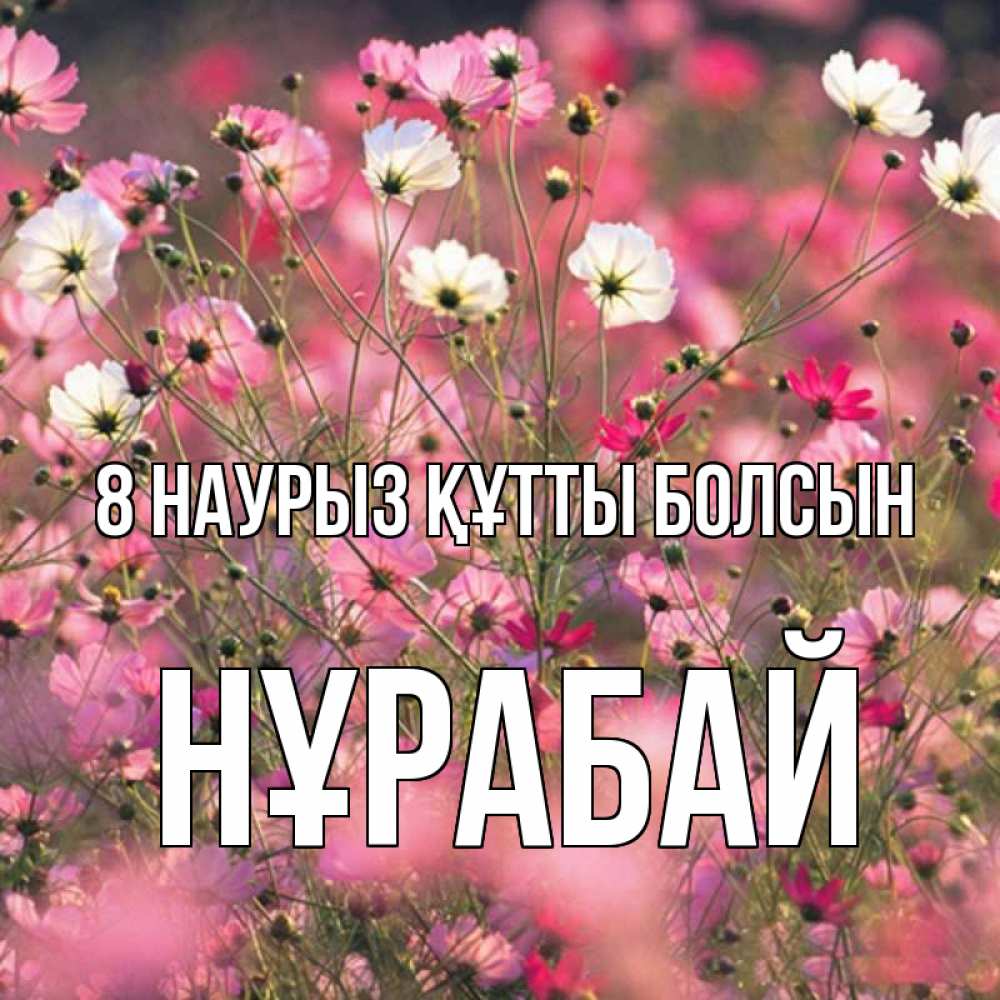 Күн сайын ашық хат с именем, НҰРАБАЙ 8 наурыз құтты болсын красиво 1 Онлайн тегін жүктеп алу тілектері бар керемет карта 