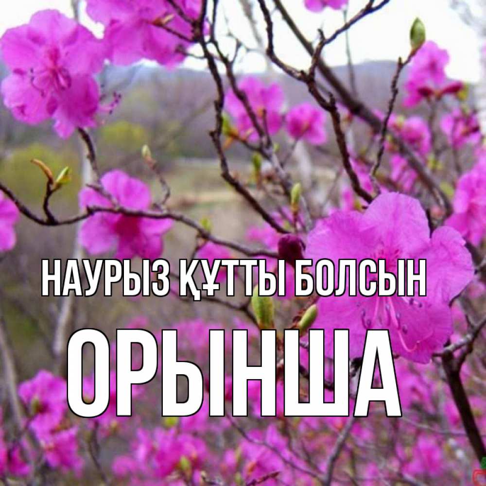Күн сайын ашық хат с именем, ОРЫНША Наурыз құтты болсын наурыз мейрамы кутты болсын Онлайн тегін жүктеп алу тілектері бар керемет карта 