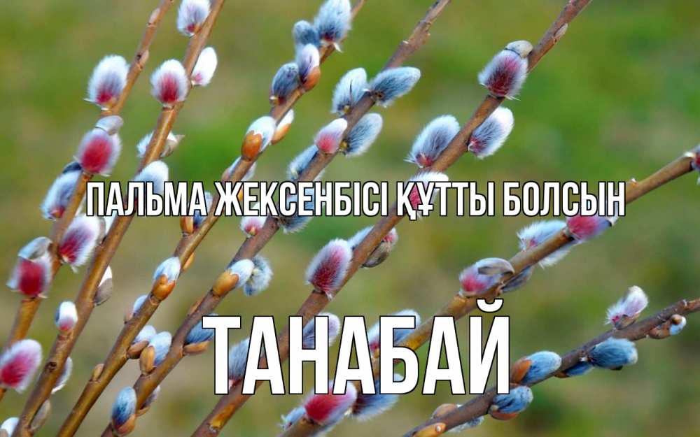 Күн сайын ашық хат с именем, ТАНАБАЙ Пальма жексенбісі құтты болсын верба Онлайн тегін жүктеп алу тілектері бар керемет карта 
