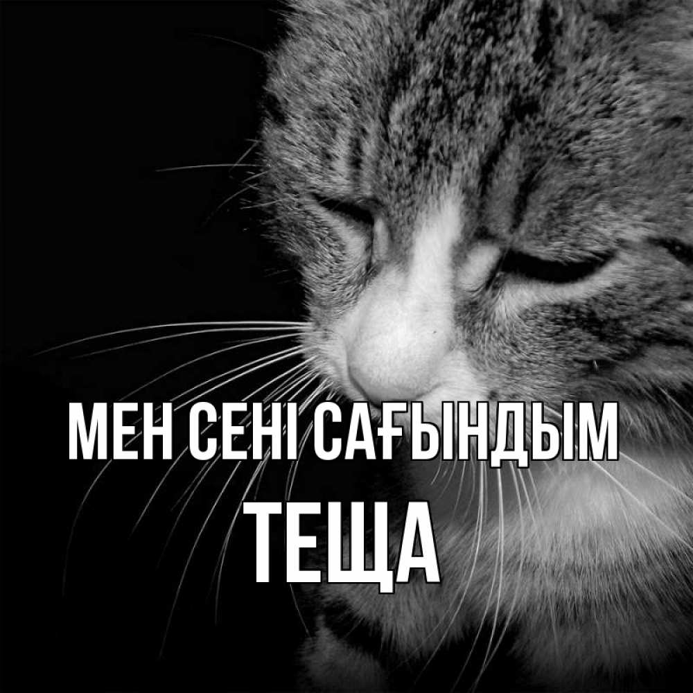 Күн сайын ашық хат с именем, Теща Мен сені сағындым мне скучно Онлайн тегін жүктеп алу тілектері бар керемет карта 