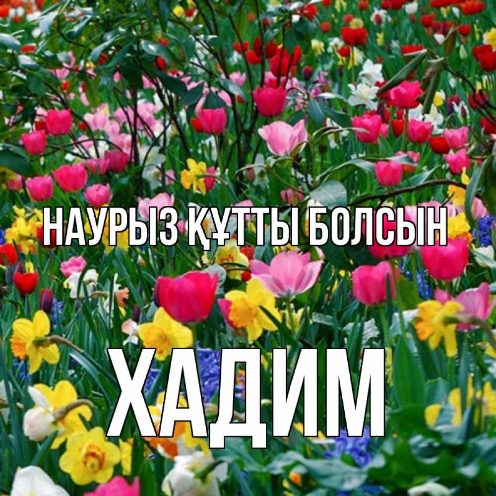 Күн сайын ашық хат с именем, ХАДИМ Наурыз құтты болсын с наурызом поздравления для женщины Онлайн тегін жүктеп алу тілектері бар керемет карта 
