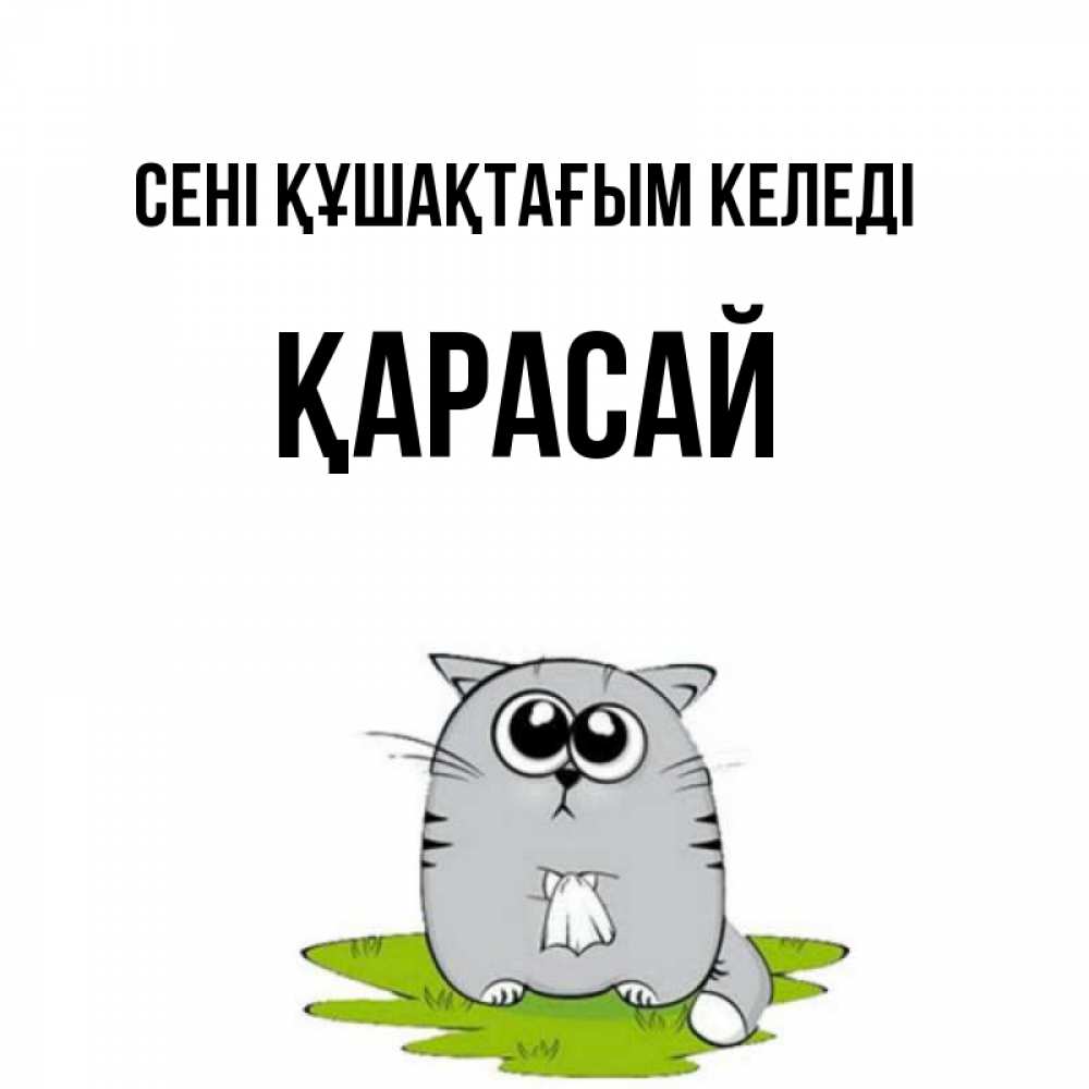 Күн сайын ашық хат с именем, Қарасай сені құшақтағым келеді котик теребит платочек сидя на травке Онлайн тегін жүктеп алу тілектері бар керемет карта 