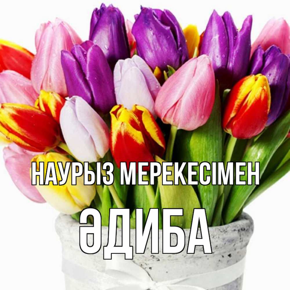 Күн сайын ашық хат с именем, ӘДИБА Наурыз мерекесімен букет Онлайн тегін жүктеп алу тілектері бар керемет карта 