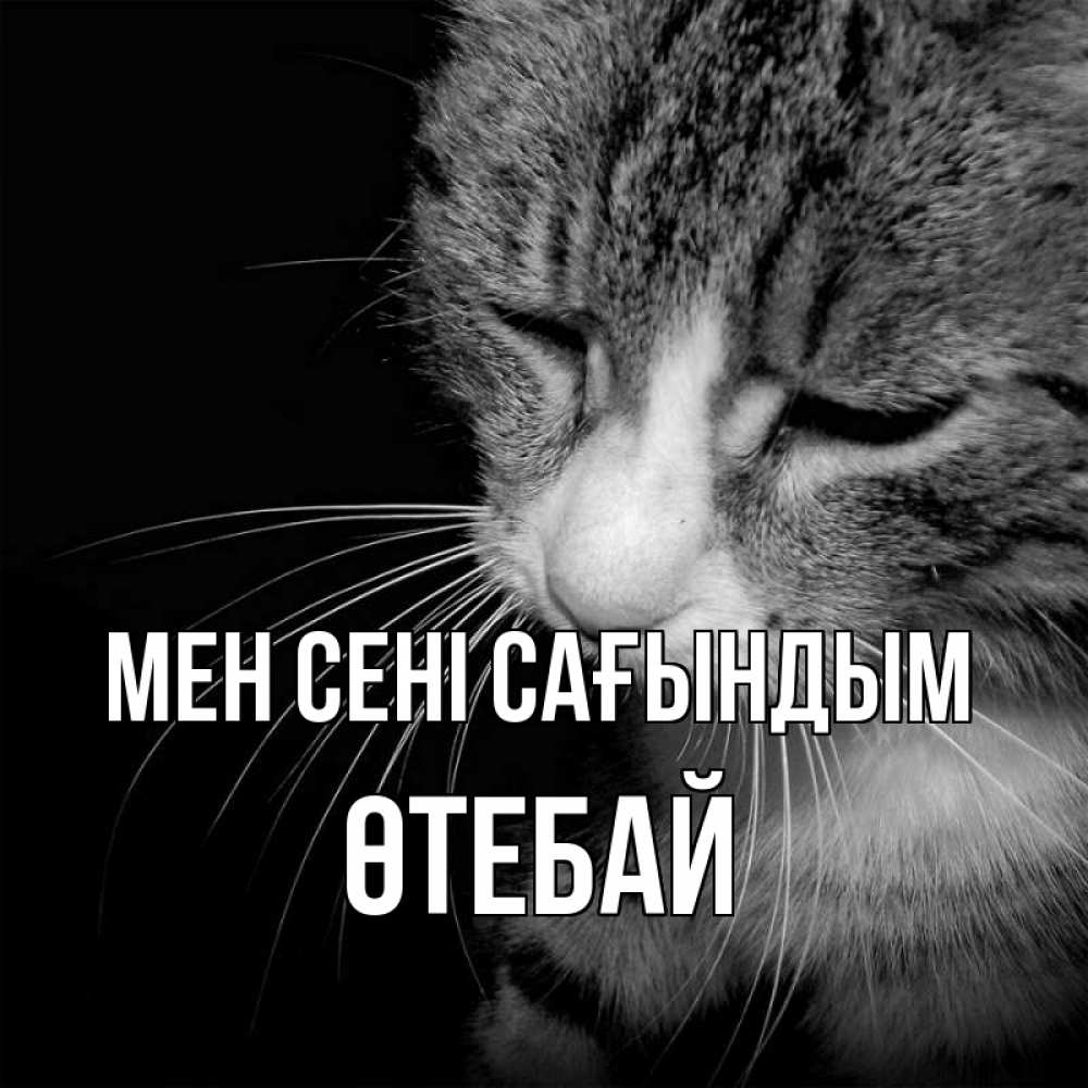 Күн сайын ашық хат с именем, ӨТЕБАЙ Мен сені сағындым мне скучно Онлайн тегін жүктеп алу тілектері бар керемет карта 