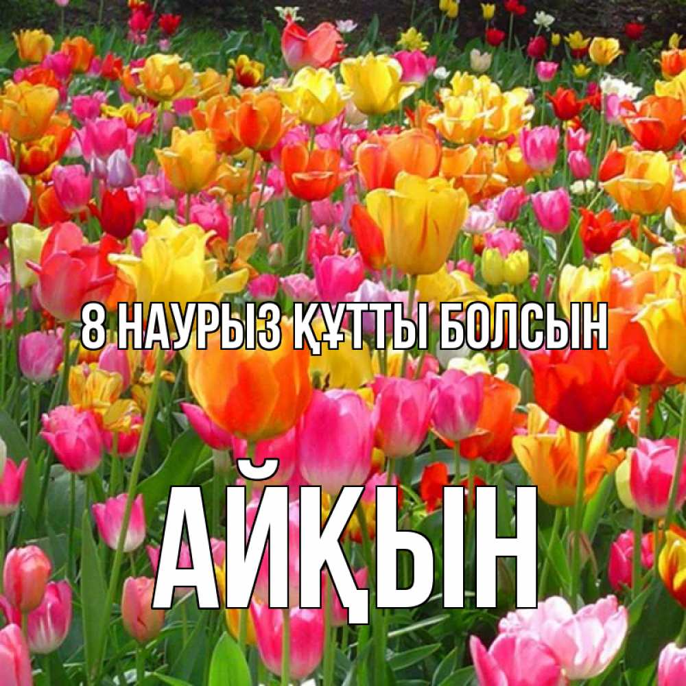 Күн сайын ашық хат с именем, Айқын 8 наурыз құтты болсын на международный женский день Онлайн тегін жүктеп алу тілектері бар керемет карта 