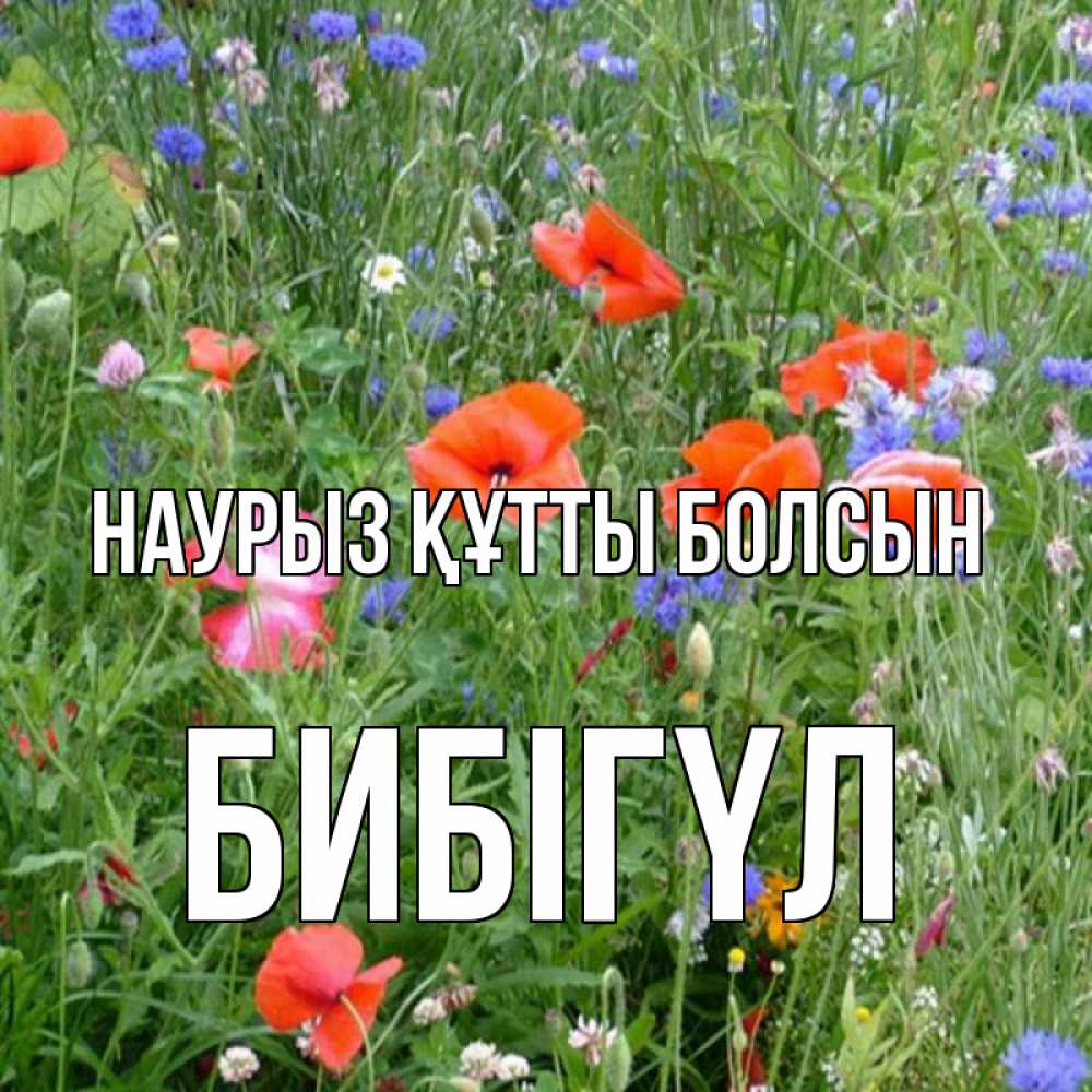 Күн сайын ашық хат с именем, БИБІГҮЛ Наурыз құтты болсын наурыз  4 Онлайн тегін жүктеп алу тілектері бар керемет карта 