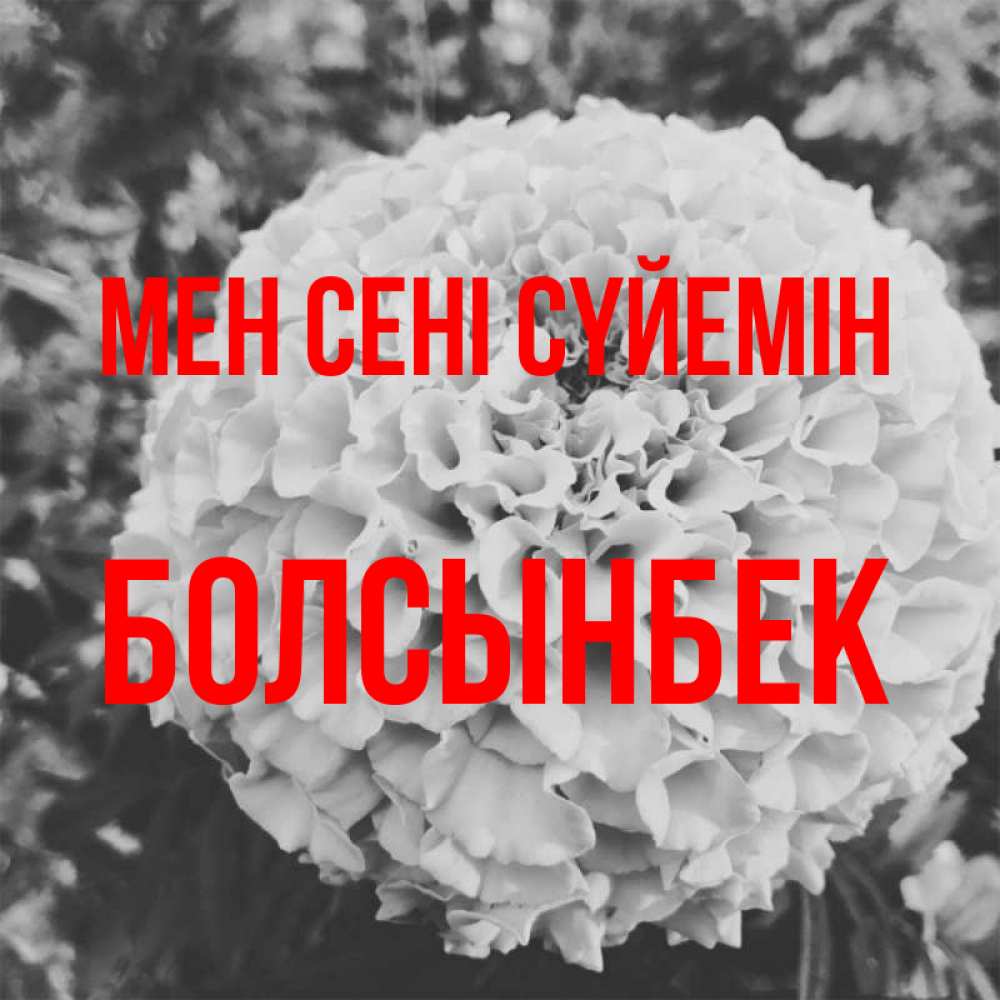 Күн сайын ашық хат с именем, Болсынбек Мен сені сүйемін подпись Онлайн тегін жүктеп алу тілектері бар керемет карта 
