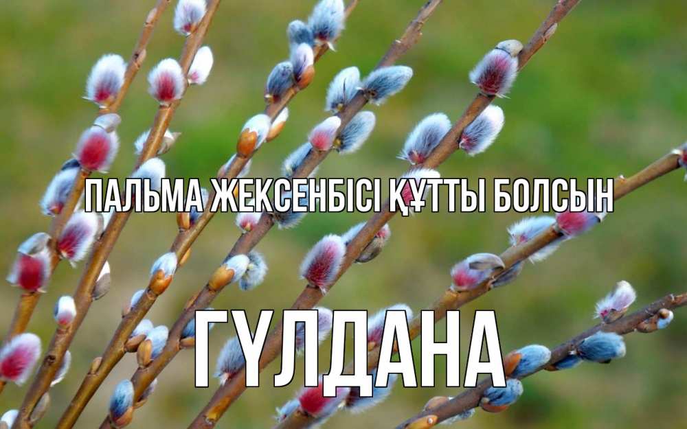 Күн сайын ашық хат с именем, ГҮЛДАНА Пальма жексенбісі құтты болсын верба Онлайн тегін жүктеп алу тілектері бар керемет карта 