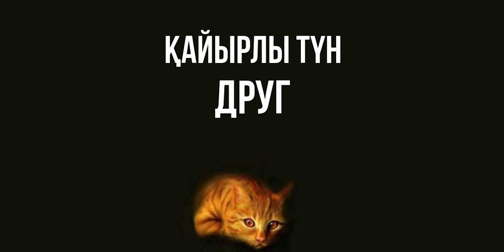 Күн сайын ашық хат с именем, Друг Қайырлы түн кот Онлайн тегін жүктеп алу тілектері бар керемет карта 