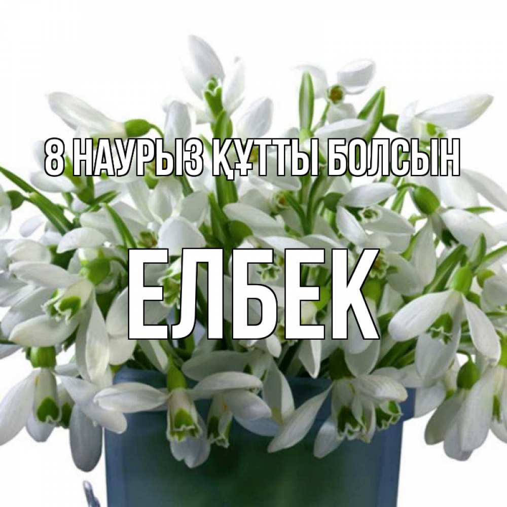 Күн сайын ашық хат с именем, Елбек 8 наурыз құтты болсын цветы к международному женскому дню Онлайн тегін жүктеп алу тілектері бар керемет карта 