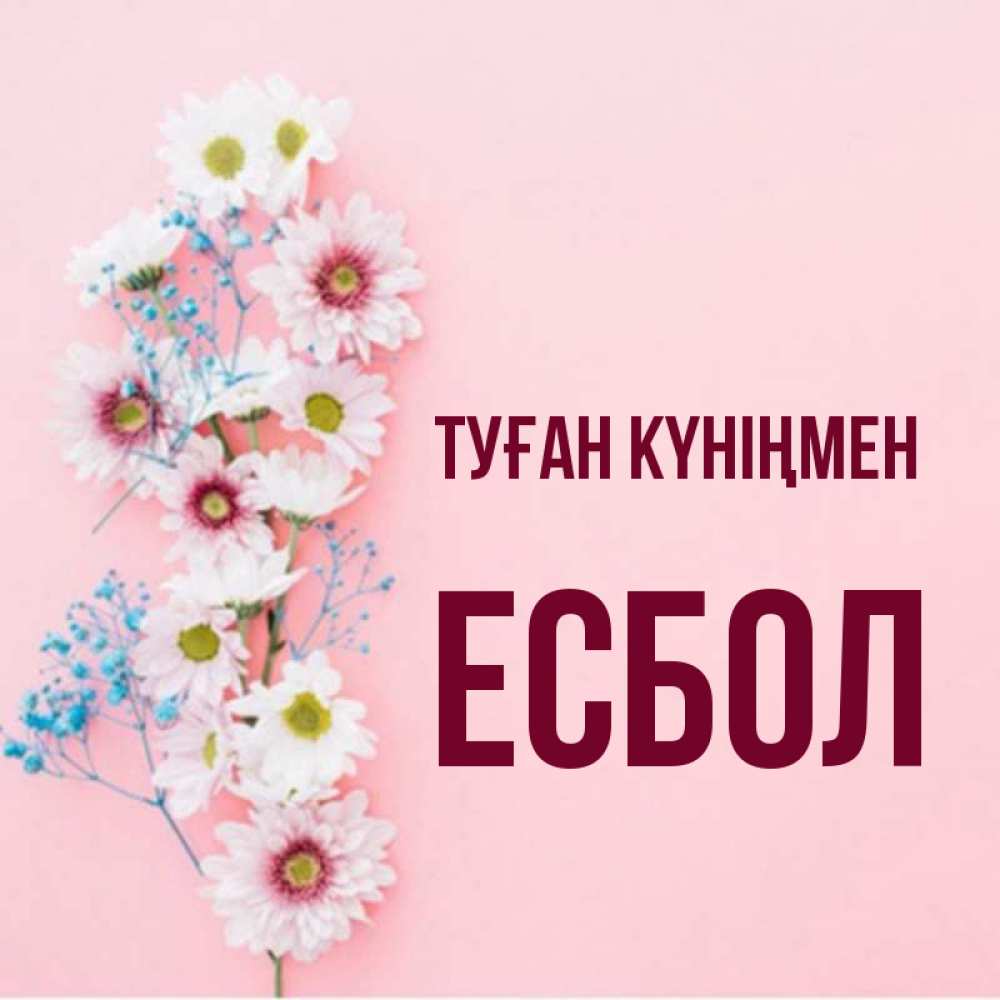 Күн сайын ашық хат с именем, Есбол Туған күніңмен Родная моя с днем рождения тебя картинка с цветами белыми и голубыми Онлайн тегін жүктеп алу тілектері бар керемет карта 