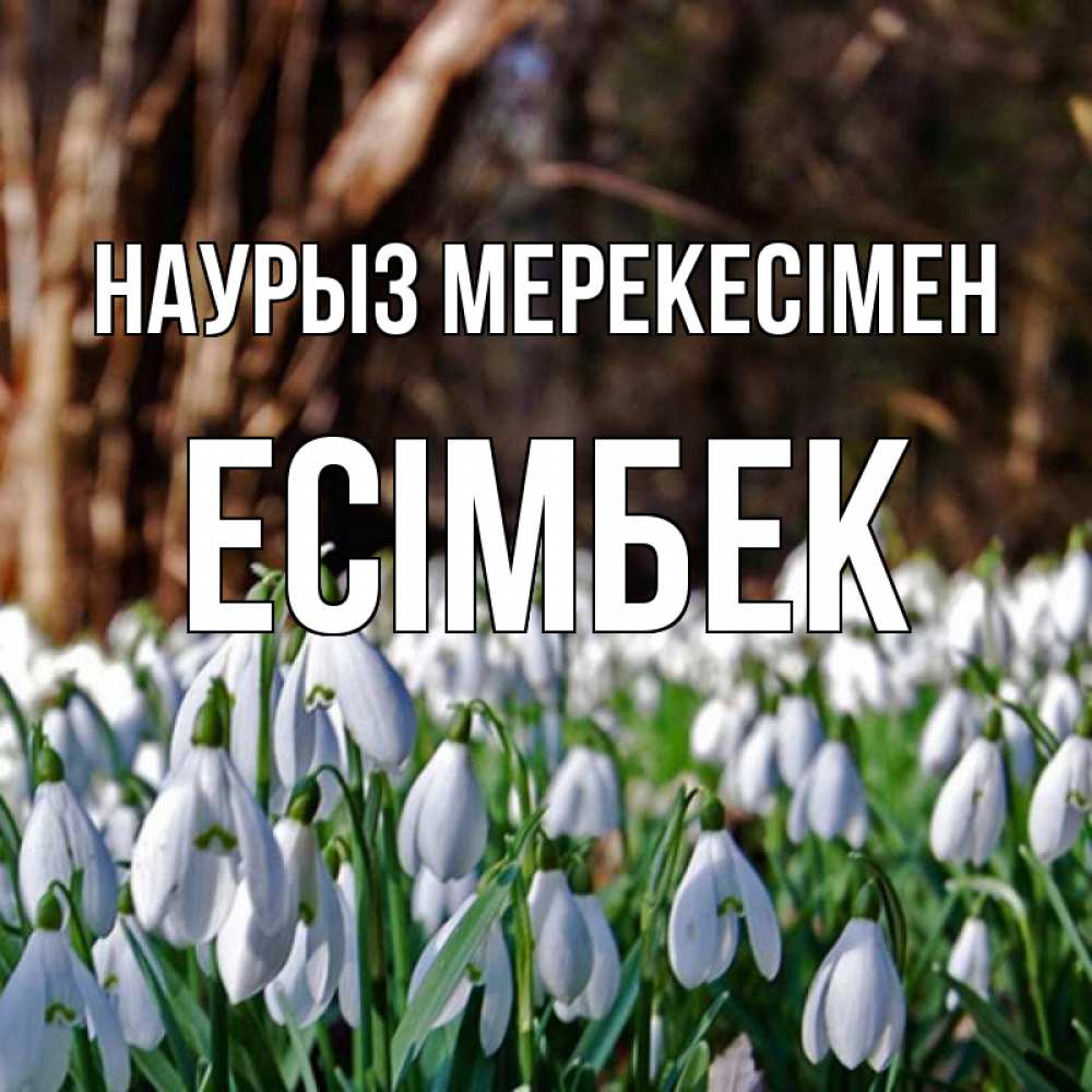 Күн сайын ашық хат с именем, Есімбек Наурыз мерекесімен с подснежниками 1 Онлайн тегін жүктеп алу тілектері бар керемет карта 