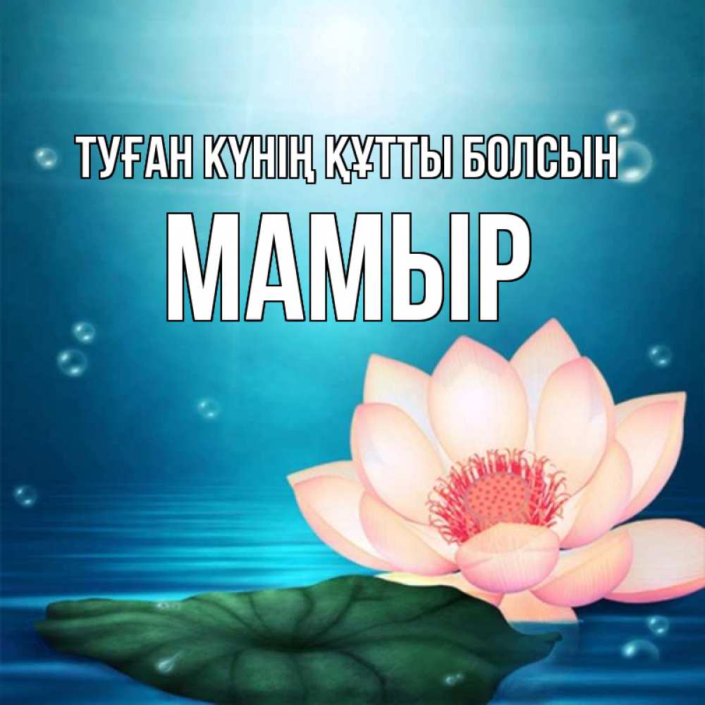 Күн сайын ашық хат с именем, МАМЫР Туған күнің құтты болсын кувшинка Онлайн тегін жүктеп алу тілектері бар керемет карта 