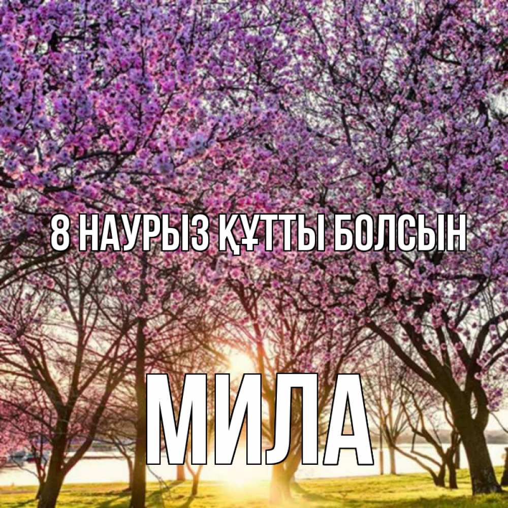 Күн сайын ашық хат с именем, Мила 8 наурыз құтты болсын международный женский день Онлайн тегін жүктеп алу тілектері бар керемет карта 