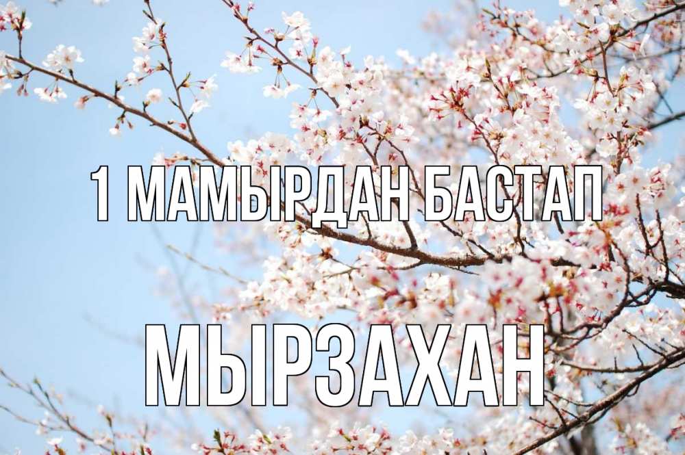 Күн сайын ашық хат с именем, Мырзахан 1 мамырдан бастап С 1 мая Онлайн тегін жүктеп алу тілектері бар керемет карта 