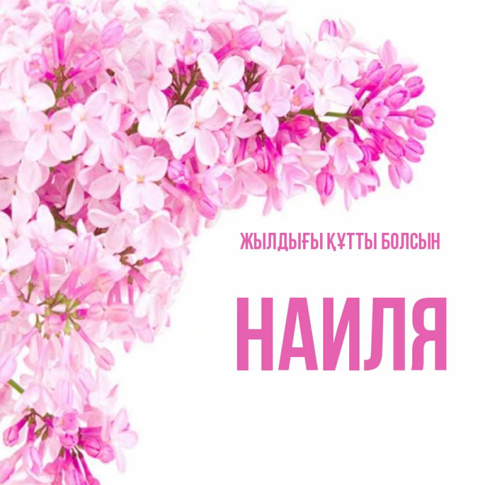 Күн сайын ашық хат с именем, Наиля Жылдығы құтты болсын Сирень на белом фоне Онлайн тегін жүктеп алу тілектері бар керемет карта 