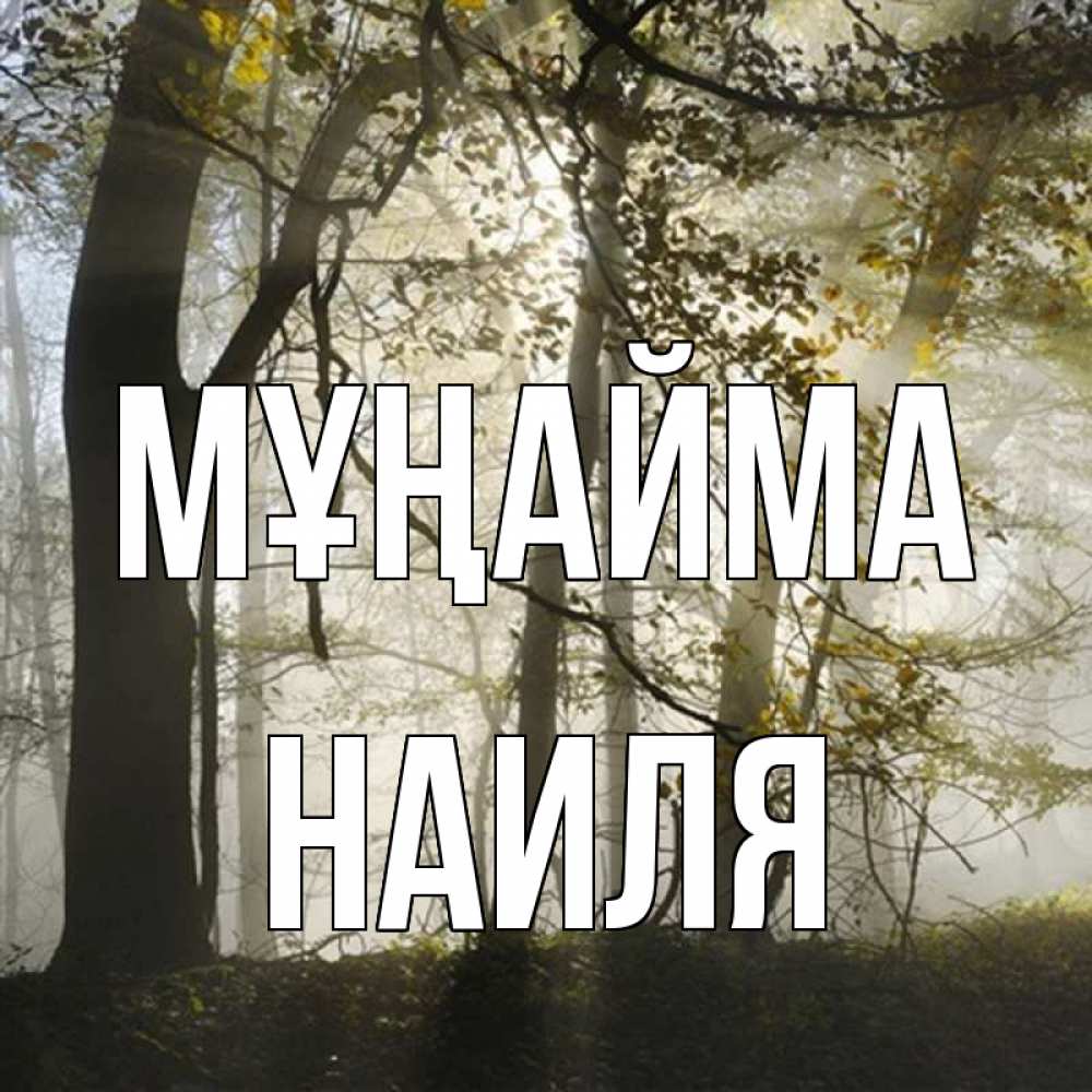 Күн сайын ашық хат с именем, Наиля Мұңайма лес и свет Онлайн тегін жүктеп алу тілектері бар керемет карта 
