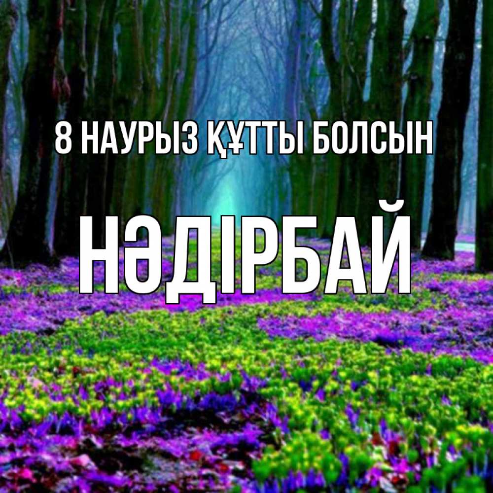 Күн сайын ашық хат с именем, НӘДІРБАЙ 8 наурыз құтты болсын фиолетовые цветы в лесу 1 Онлайн тегін жүктеп алу тілектері бар керемет карта 