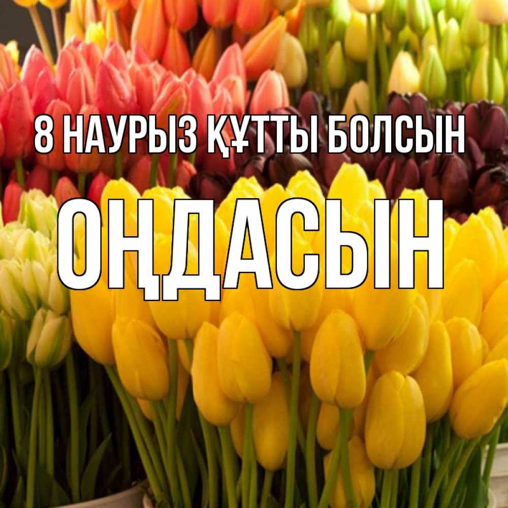 Күн сайын ашық хат с именем, ОҢДАСЫН 8 наурыз құтты болсын цветы Онлайн тегін жүктеп алу тілектері бар керемет карта 
