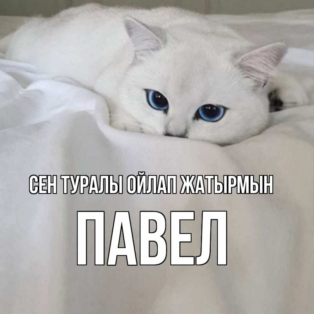 Күн сайын ашық хат с именем, Павел Сен туралы ойлап жатырмын я очень по тебе скучаю и тоскую Онлайн тегін жүктеп алу тілектері бар керемет карта 