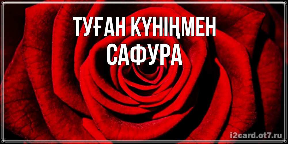 Күн сайын ашық хат с именем, САФУРА Туған күніңмен алая роза Онлайн тегін жүктеп алу тілектері бар керемет карта 