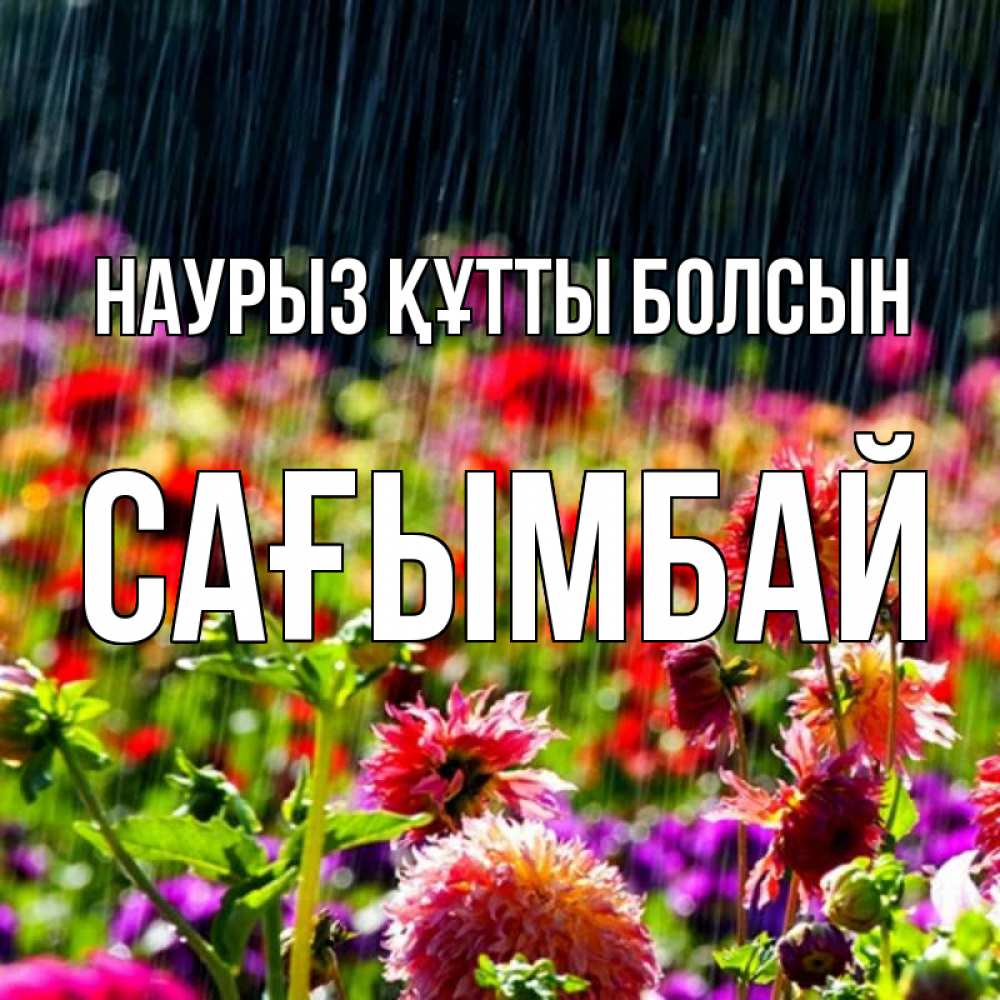 Күн сайын ашық хат с именем, Сағымбай Наурыз құтты болсын цветы под дождиком к наурызу Онлайн тегін жүктеп алу тілектері бар керемет карта 