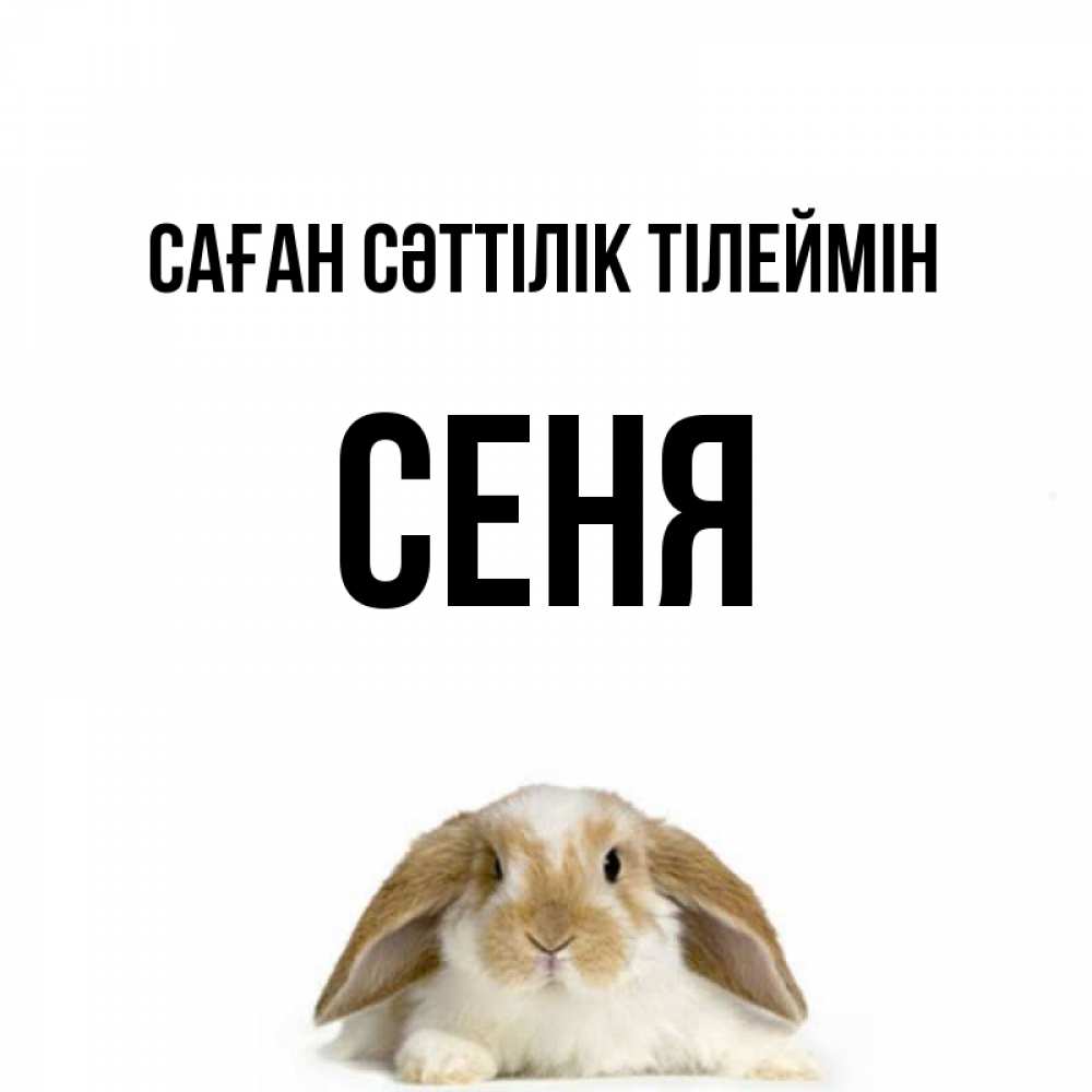 Күн сайын ашық хат с именем, Сеня Саған сәттілік тілеймін открытки с произвольным текстом который можно вставить в открытку и создать ее самостоятельно бесплатно онлайн Онлайн тегін жүктеп алу тілектері бар керемет карта 