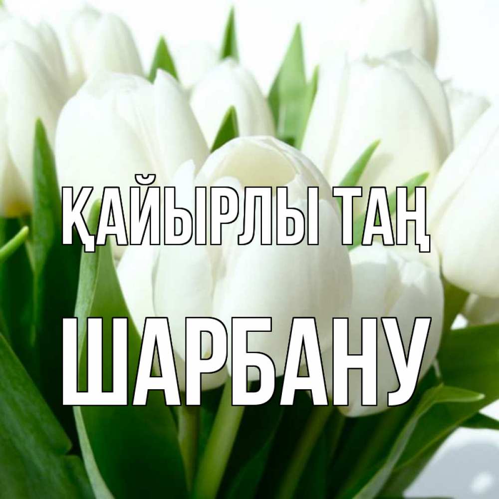 Күн сайын ашық хат с именем, ШАРБАНУ Қайырлы таң открытки на каждый день по именам Онлайн тегін жүктеп алу тілектері бар керемет карта 