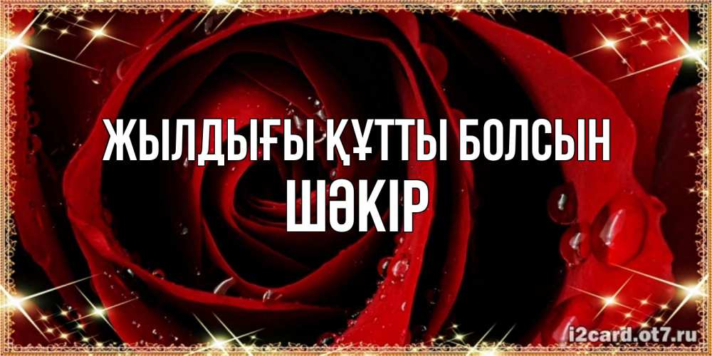 Күн сайын ашық хат с именем, ШӘКІР Жылдығы құтты болсын цветок в росе на день рождения Онлайн тегін жүктеп алу тілектері бар керемет карта 