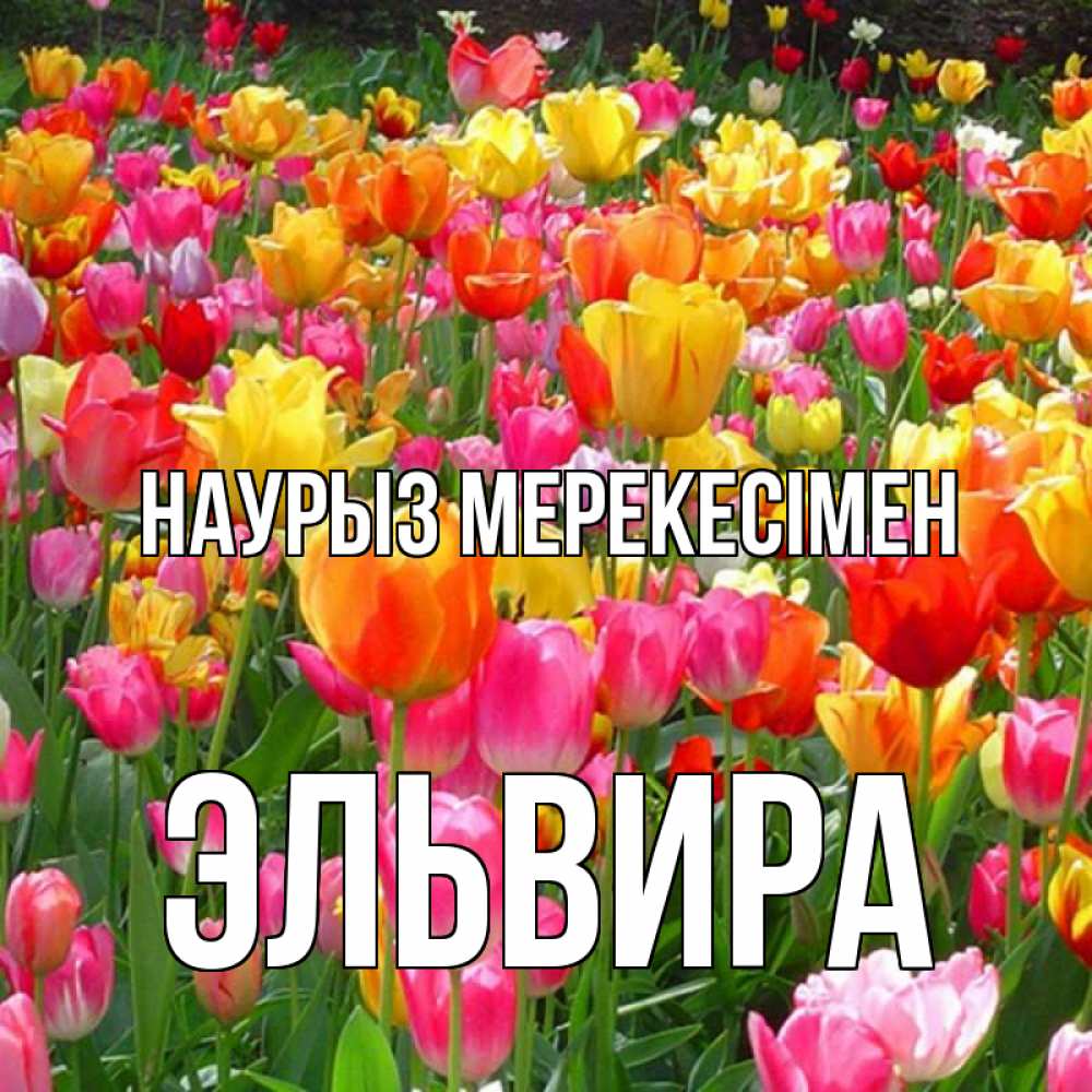 Күн сайын ашық хат с именем, Эльвира Наурыз мерекесімен праздник весны наурыз 4 Онлайн тегін жүктеп алу тілектері бар керемет карта 