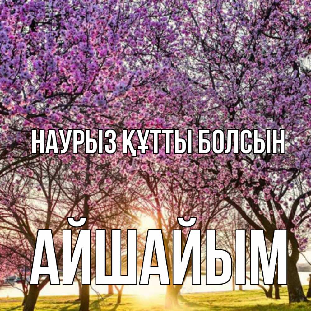 Күн сайын ашық хат с именем, АЙШАЙЫМ Наурыз құтты болсын наурыз Онлайн тегін жүктеп алу тілектері бар керемет карта 