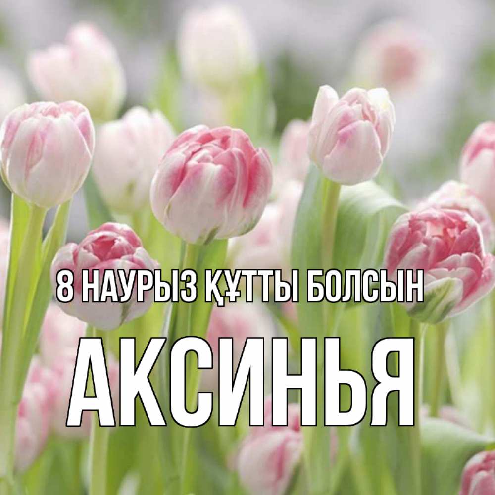 Күн сайын ашық хат с именем, Аксинья 8 наурыз құтты болсын цветы Онлайн тегін жүктеп алу тілектері бар керемет карта 