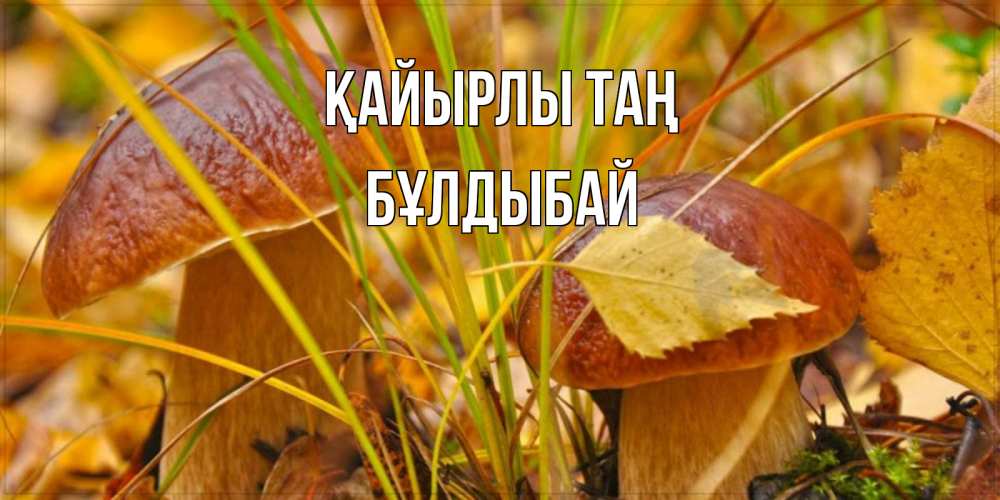 Күн сайын ашық хат с именем, Бұлдыбай Қайырлы таң осенние грибы Онлайн тегін жүктеп алу тілектері бар керемет карта 