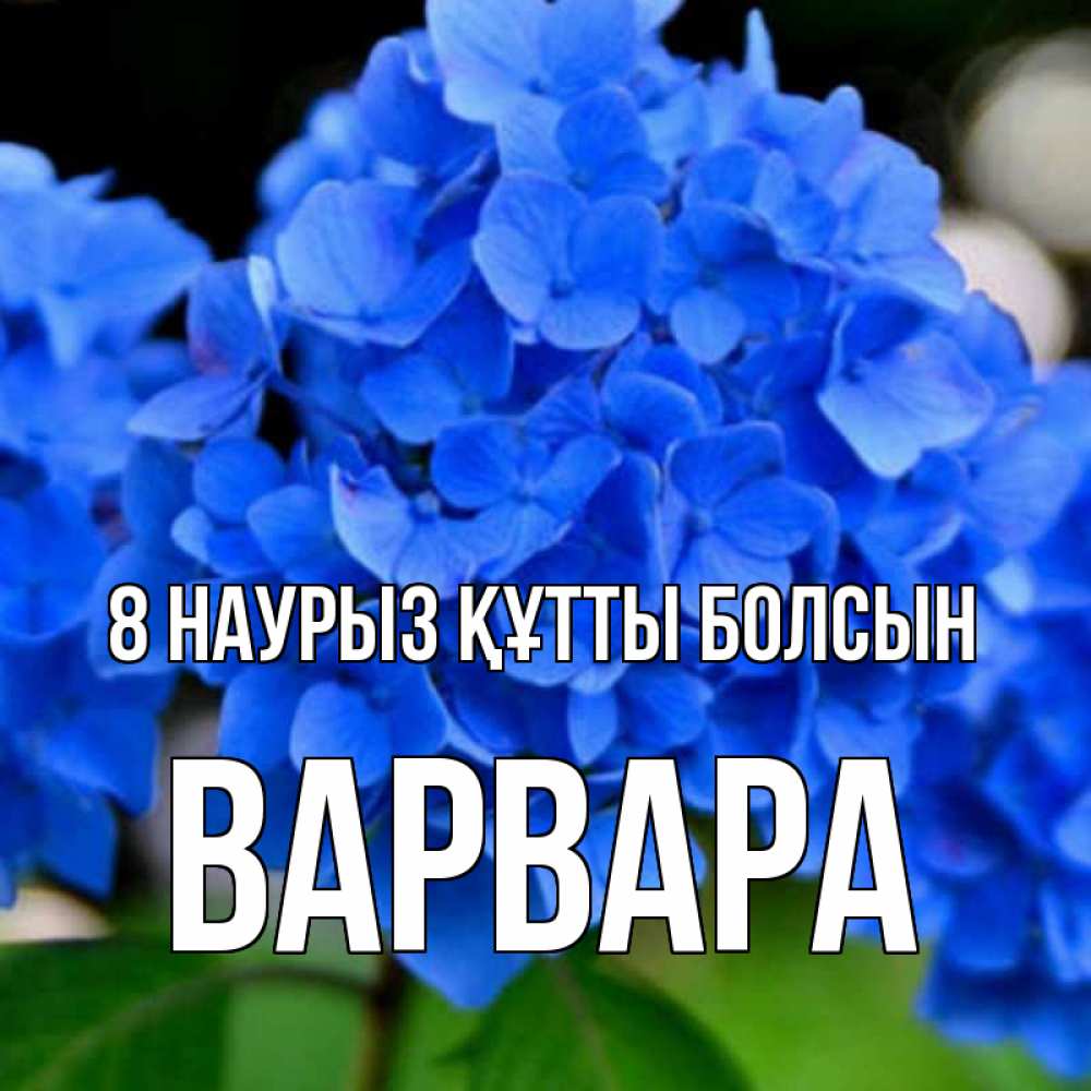 Күн сайын ашық хат с именем, Варвара 8 наурыз құтты болсын синие цветы Онлайн тегін жүктеп алу тілектері бар керемет карта 